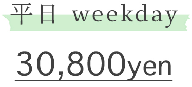平日 30,800円