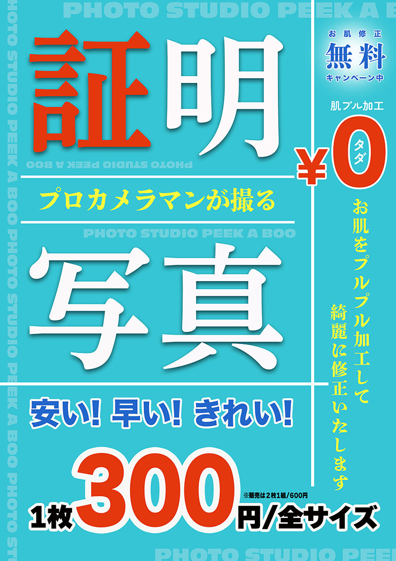 証明写真